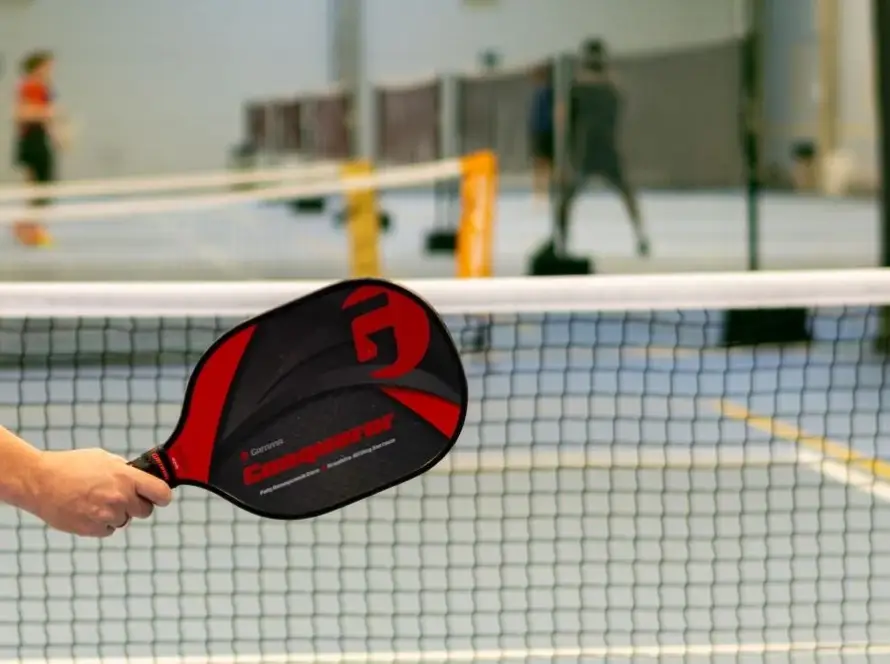 pickleball-paddle-net