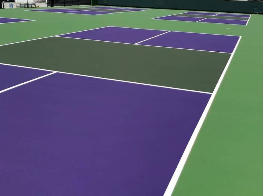 pickleball court purple and green